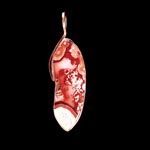 Pendant made from Mexican Agate set in sterling silver.  