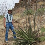 Collecting in the Mojave Desert