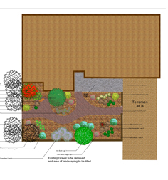 Landscape Plan