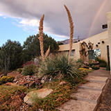 Landscape Albuquerque NM