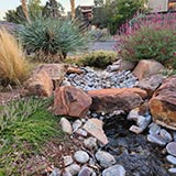 Landscape Albuquerque NM