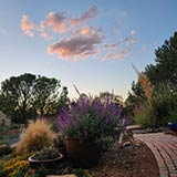 Landscape Albuquerque NM